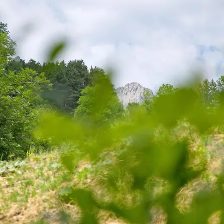 Les Centaurees Gresse-en-Vercors