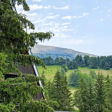 Les Centaurees * Gresse-en-Vercors